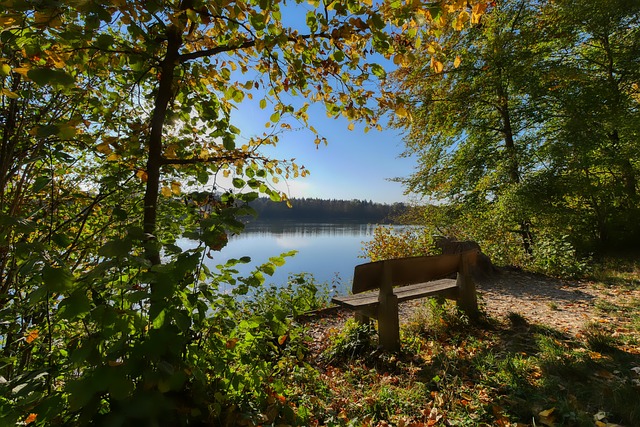 首发战澳大 首发战澳大