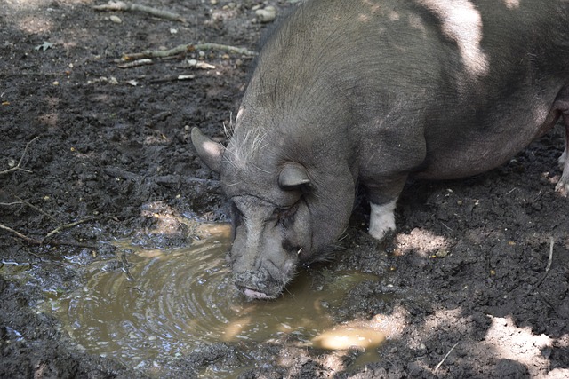 法理基础 法理基础